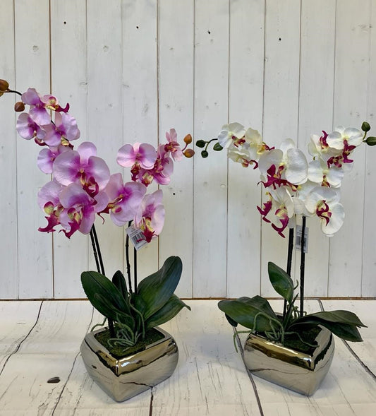Orchid Pinks in Silver pot